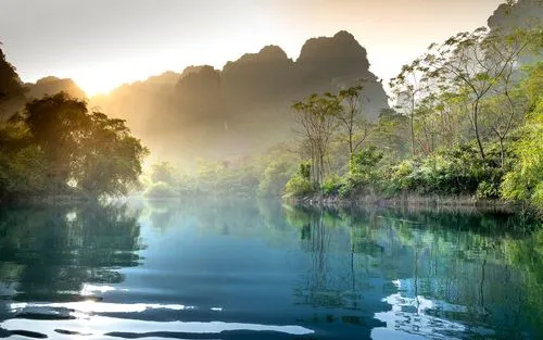 全自动智能高端